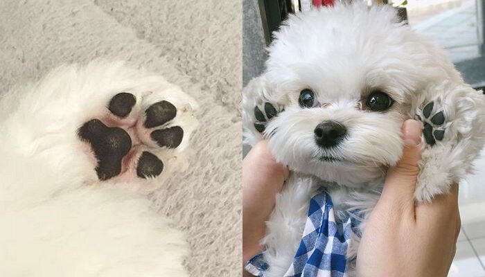 이번에야말로 죽어라 유게이_1.jpg