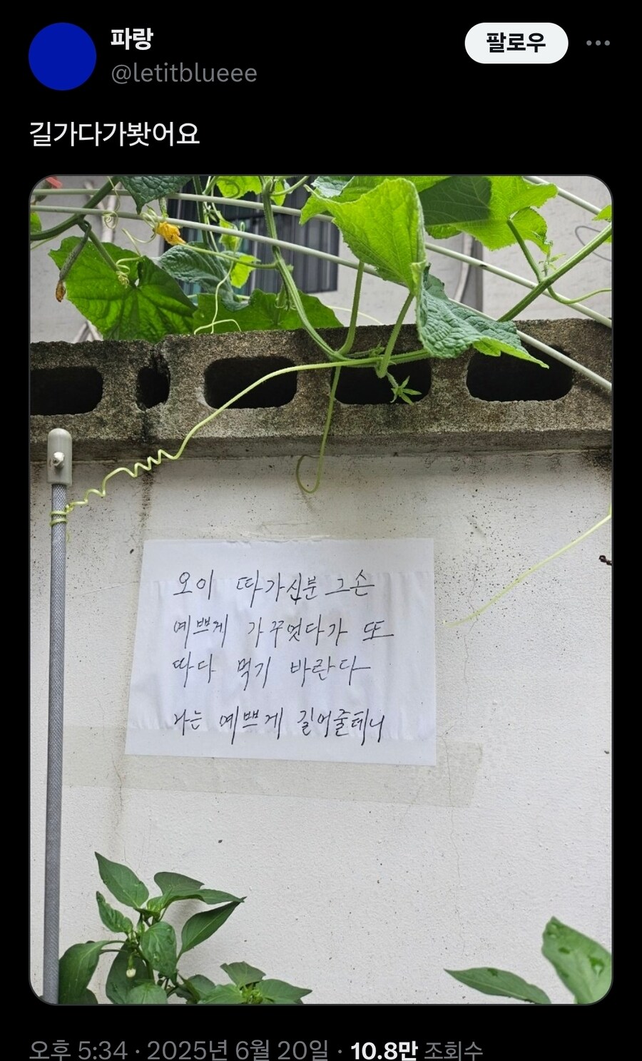 오이 서리 경고문.jpg_1.jpg