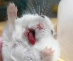 마비m) 윽... 이게 그 컴건?_1.jpg