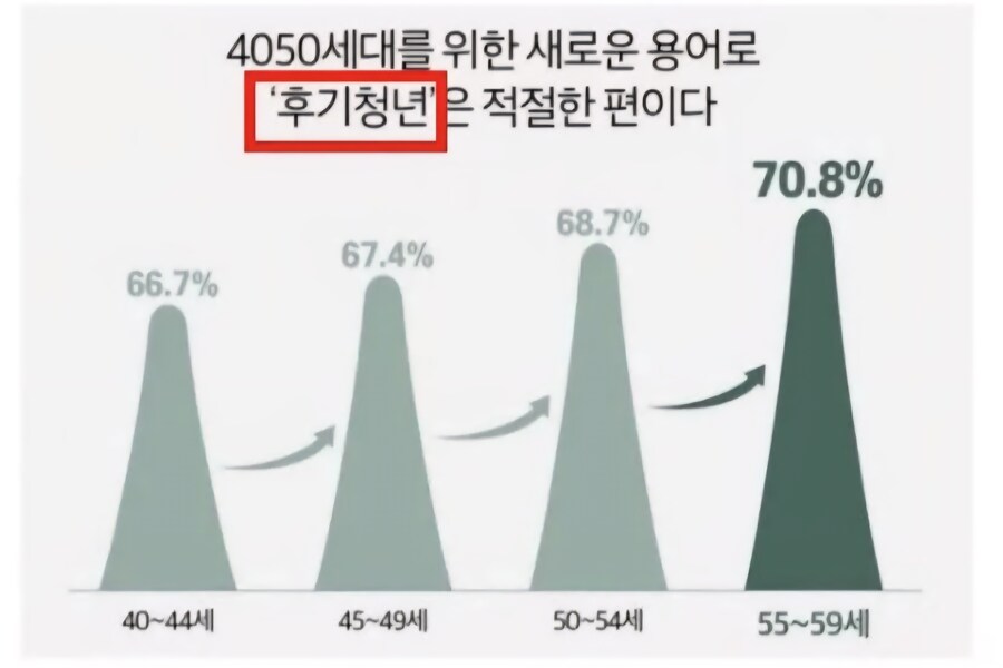 4050세대를 지칭하기 알맞은 단어_1.jpg