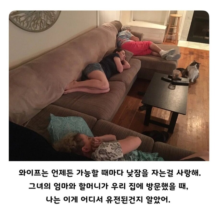 와이프의 신기한 집안 내력_1.jpg