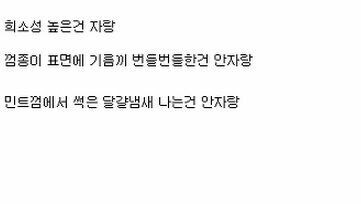 20년 이상된 껌 콜렉션 자랑 jpg_5.jpg