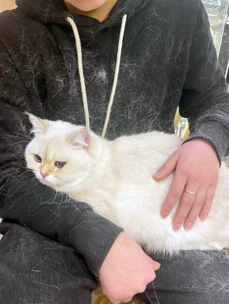 마녀들이 흰 고양이가 아니라 검은고양이를 키우는 이유_1.jpg