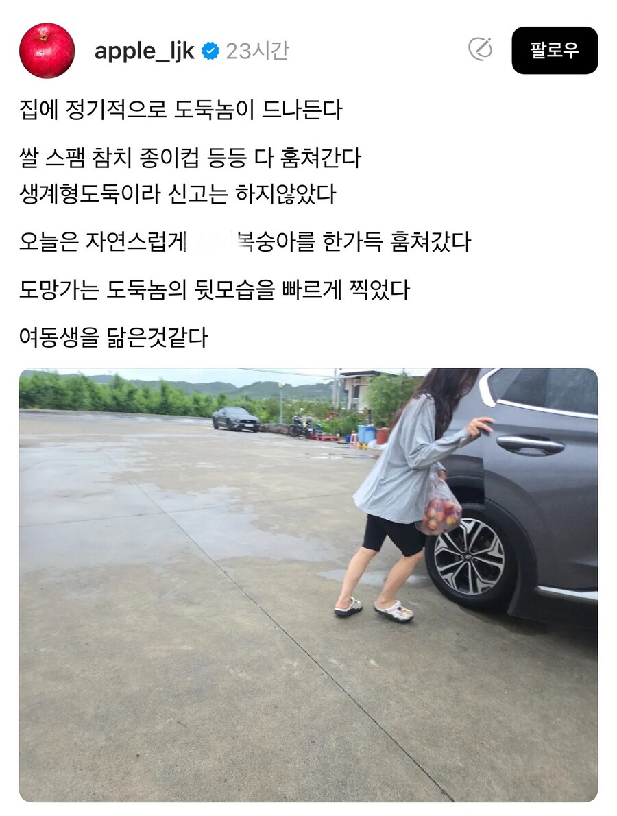 집 털어가는 도둑놈 사진 찍음.jpg_1.jpg