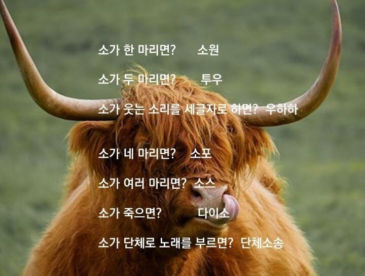 흔한 아재개그_1.jpg
