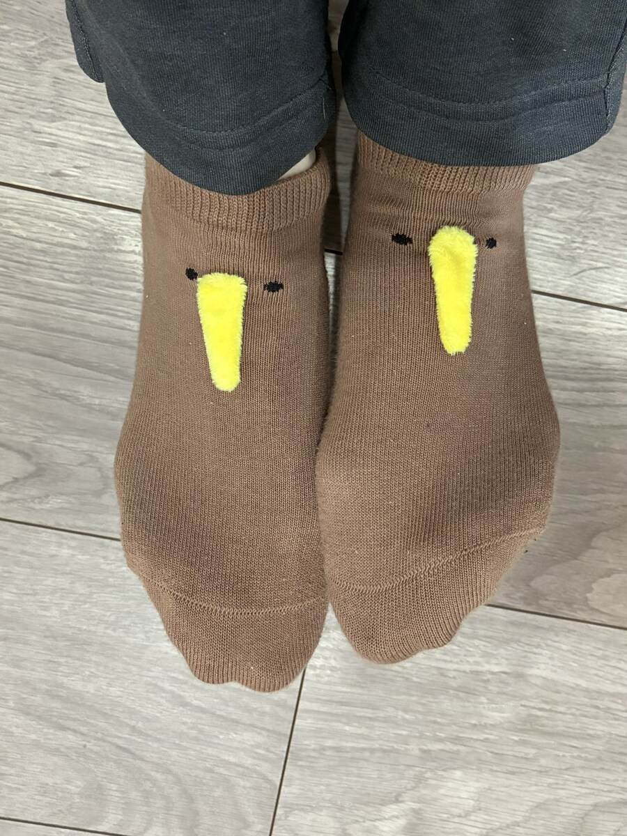 신발을 신어도 귀여운 키위 양말 사진_1.jpg