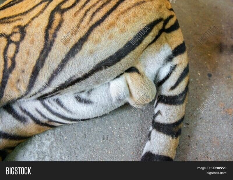 정보) ㅈ토피아의 시간인가?_9.jpg