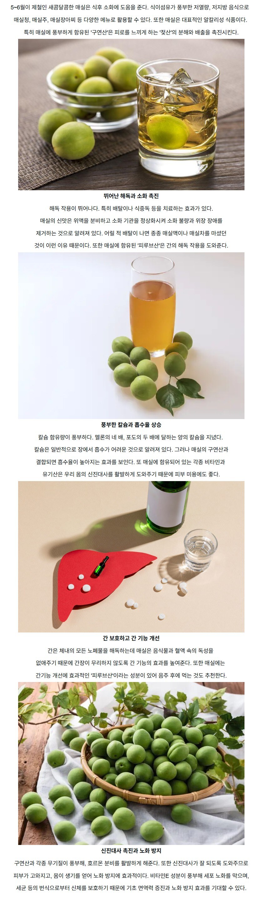 제철 맞은 새콤달콤한 매실... 다양한 건강 효능들_1.jpg