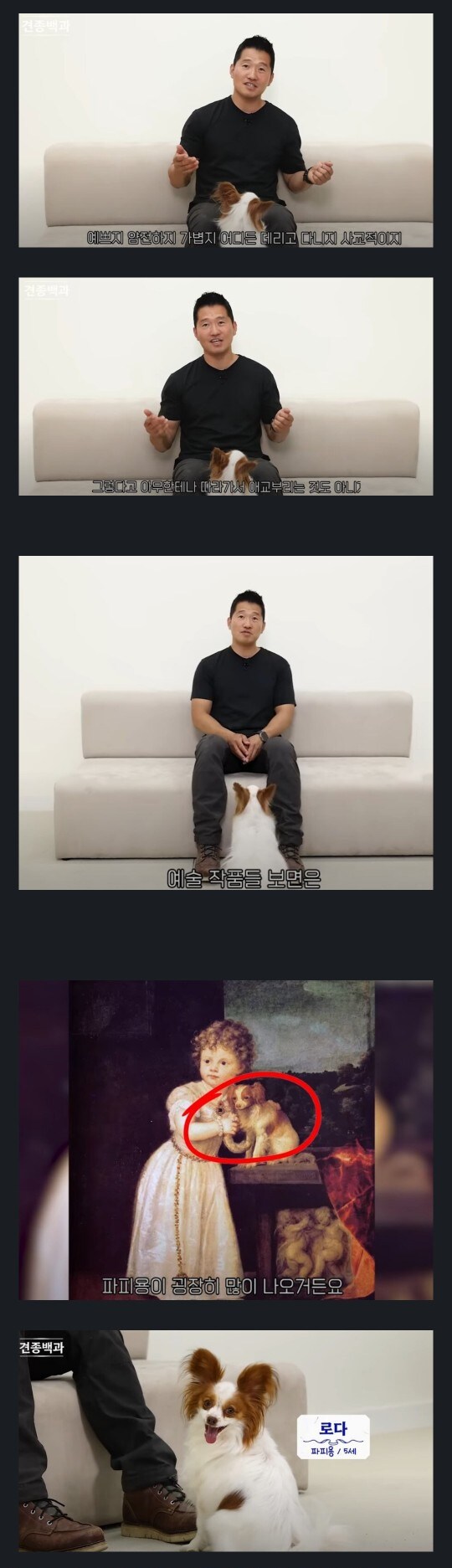 귀족만이 키웠다는 아름다운 견종.jpg_1.jpg