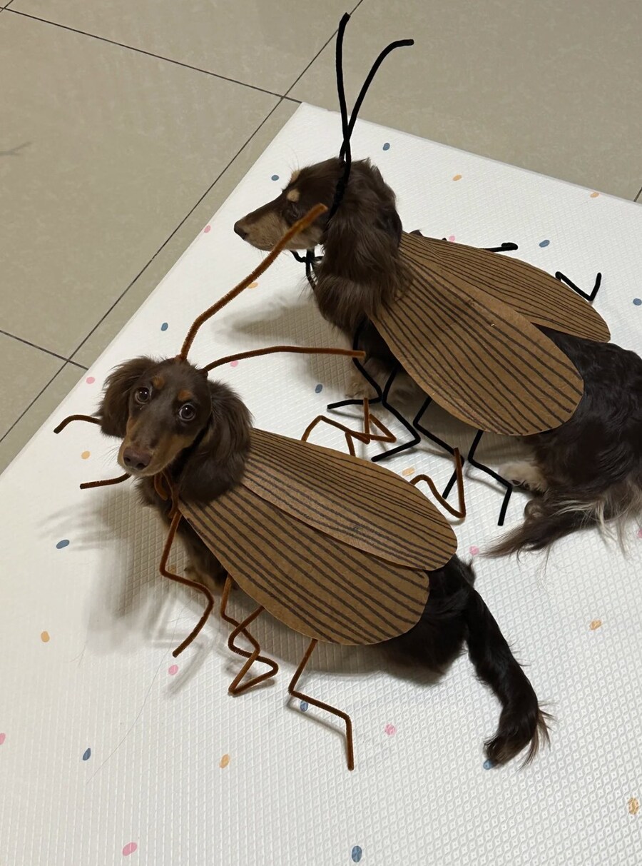 아파서 블루아카 방송만 보도 일찍 잤는데 유게가 또 개판이군_2.jpg