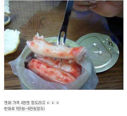 유치원생이 먹는다고 엄마가 혼냈던 통조림_2.jpg
