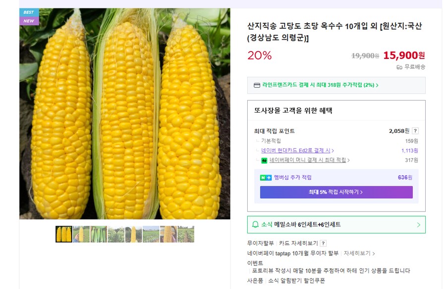 [네이버] 초당 옥수수 10개 (무배/15900원)_1.png