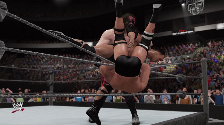 WWE 2K16_22.jpg