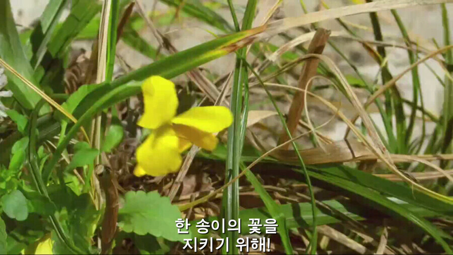가면라이더)너희들의 평성은...._1.jpg