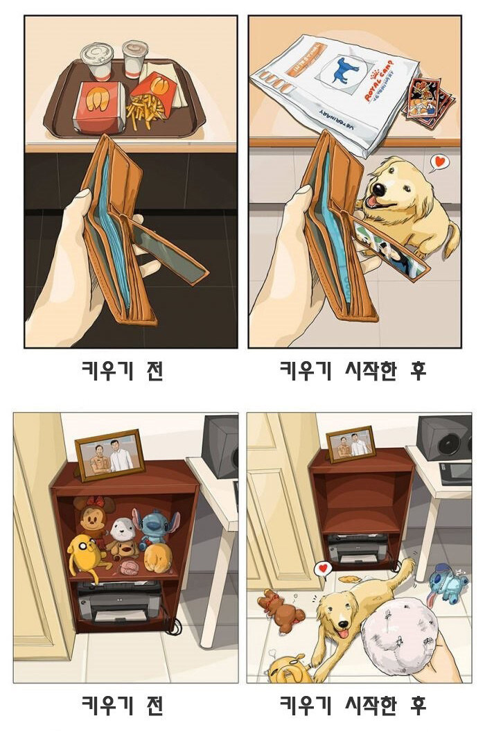 동물 키우기 전/후_3.jpg