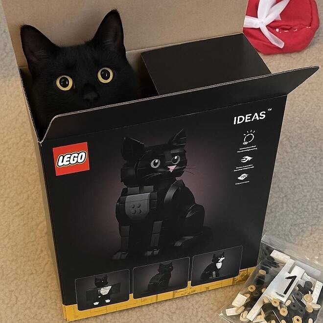 퀄리티 엄청 좋아진 요즘 레고.lego_1.png