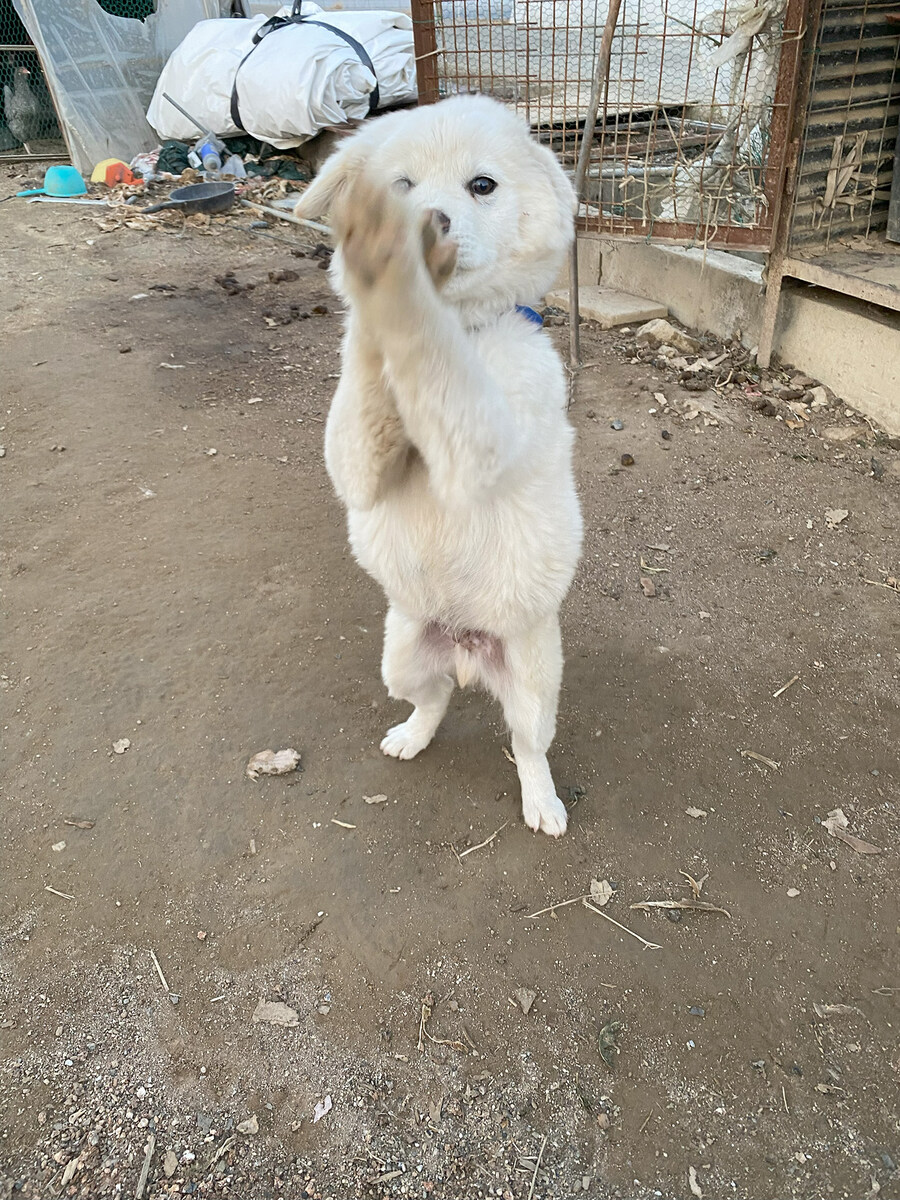 작성자 특_1.jpg
