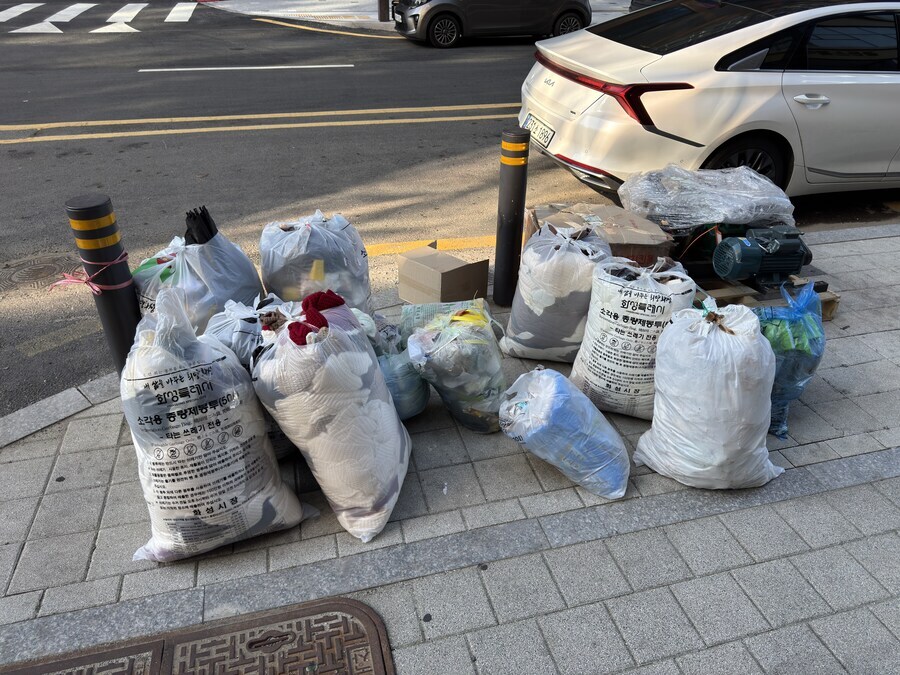 처참한 현실, 버려진 도로롱.._2.jpg