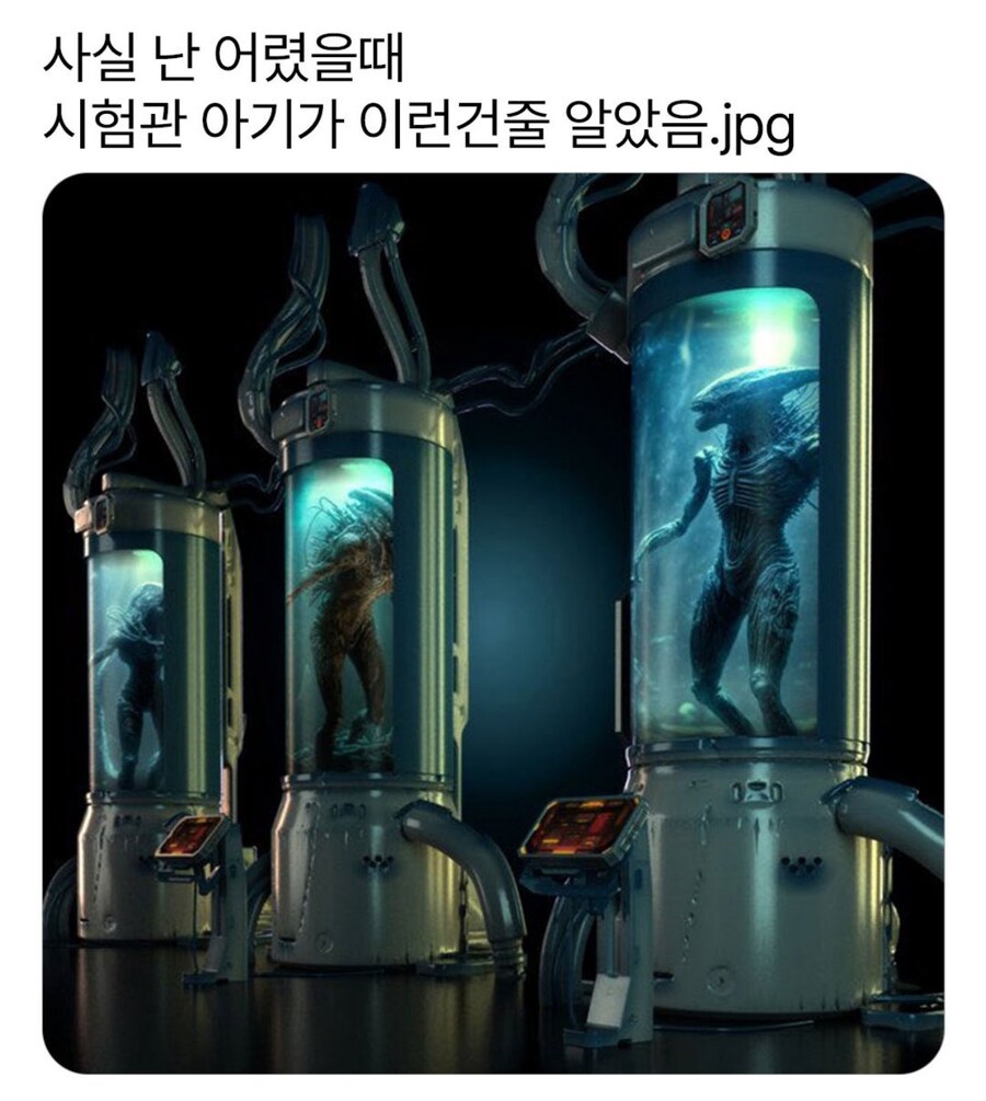 시험관 아기 이게 아니면 뭐임????_1.jpg