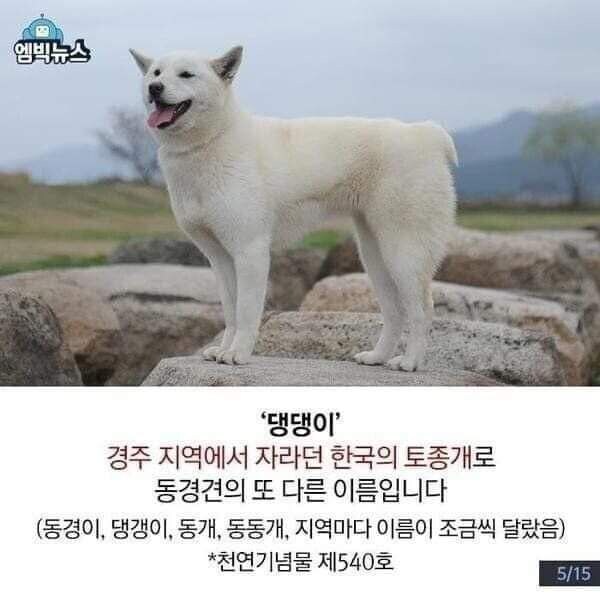 사실 신조어가 아닌 단어_1.jpg