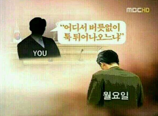 월월월월월월월월_2.jpg