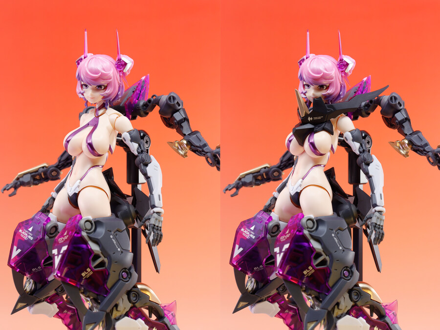 핵성치조 로사도 프로젝트 '블랙 아이리스'_8.jpg