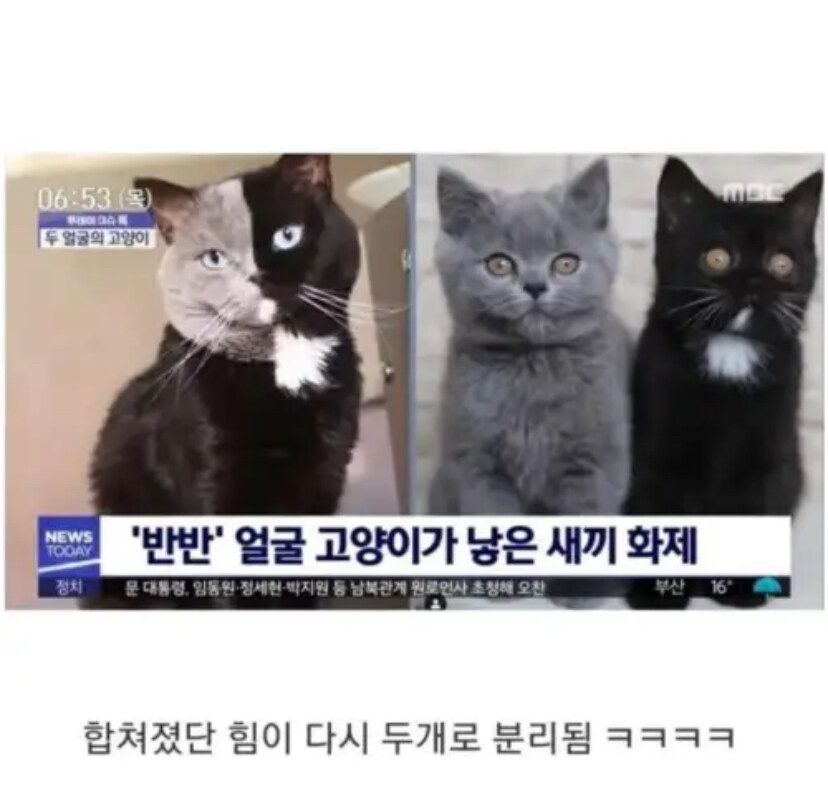 균형은 유지 되어야 한다._2.jpg