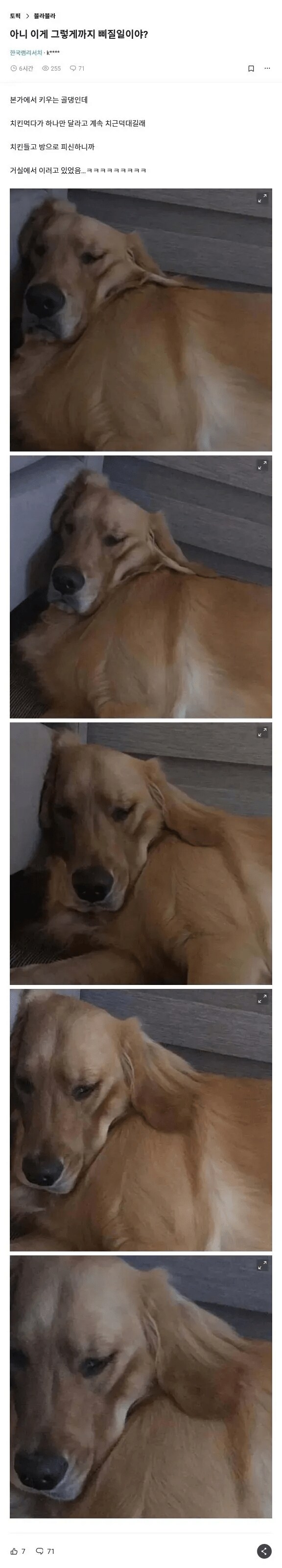 아니 이게 그렇게까지 삐질일임?._1.png