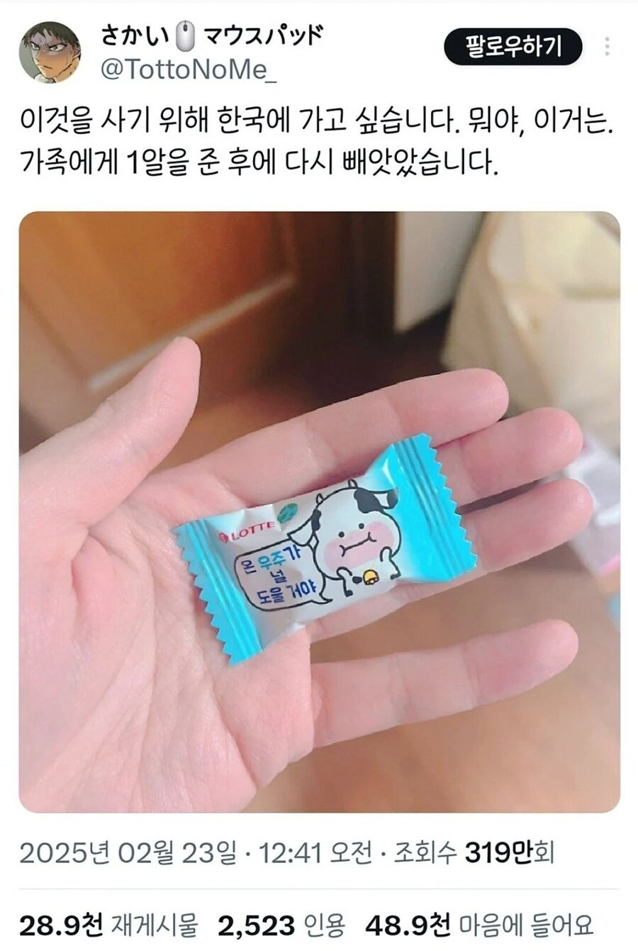 말랑카우랑 결혼하는 일본인._1.jpg
