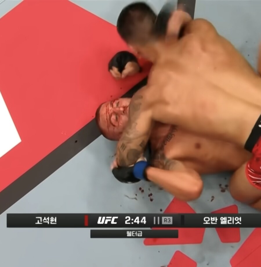 UFC) 희대의 닉네임 사기꾼 한국파이터 둘.gif_4.jpg