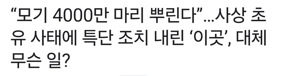 먼짓을 하는겨_1.jpg