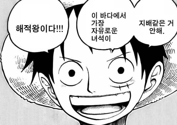원피스 "세상에서 가장 자유로운게 해적왕이야"_1.jpg