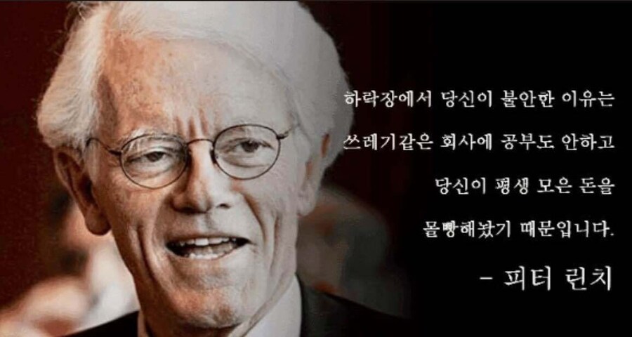 어차피 국장은 야생인데 가치 투자가 어디있음?_2.jpg