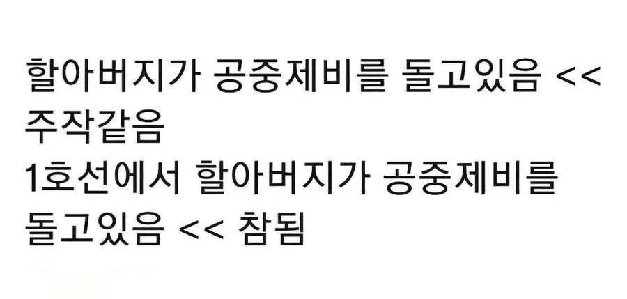 할아버지가 공중제비를 돌고 있음 - 주작같음 .jpg_1.jpg