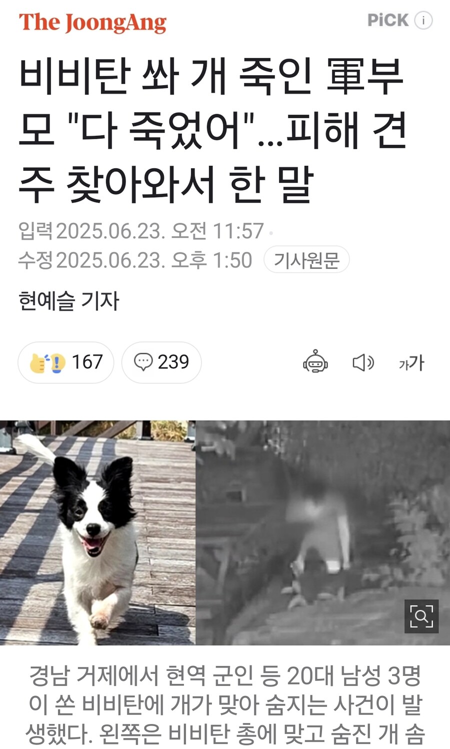 해병대 문학 연전연패 중_1.jpg