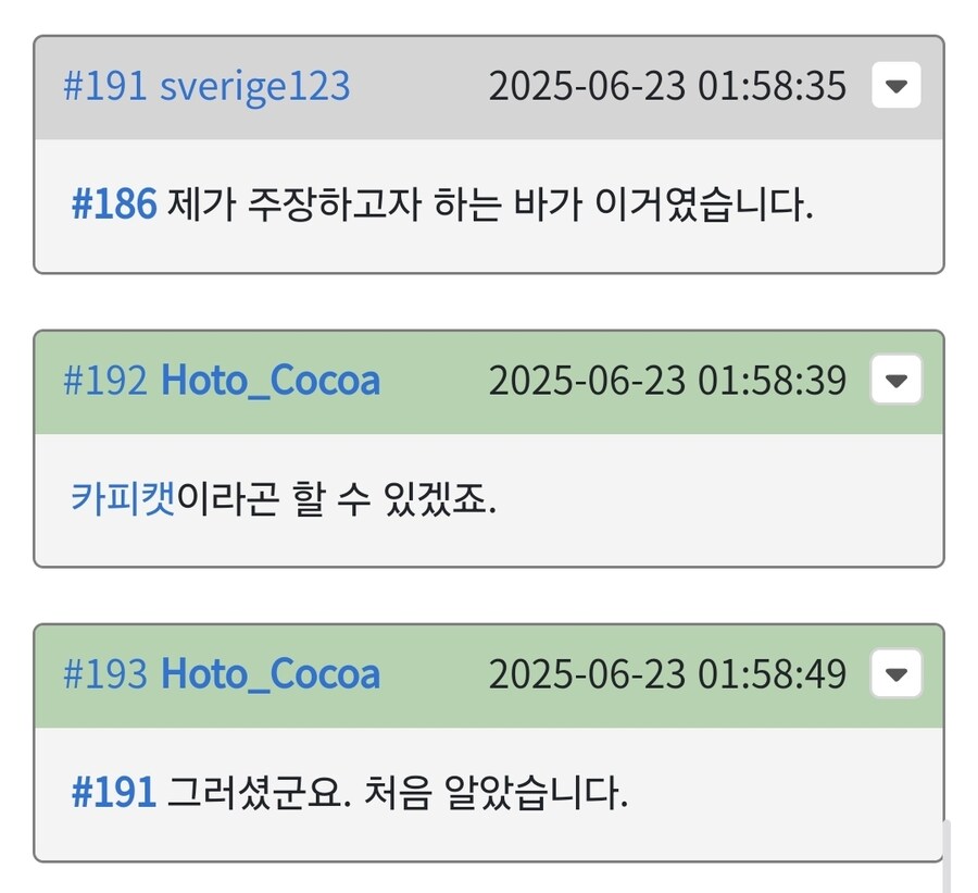 베글 나무위키 사람이 왜 그것만으로 까이냐고?_9.jpg
