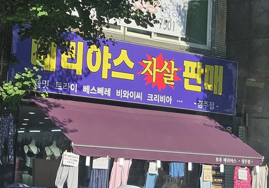 예?_1.jpg