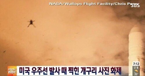 콩쥐야아아앙아어아아ㅡ!! ㅈ됐어아엉어아어어ㅡ!!.jpg_1.jpg