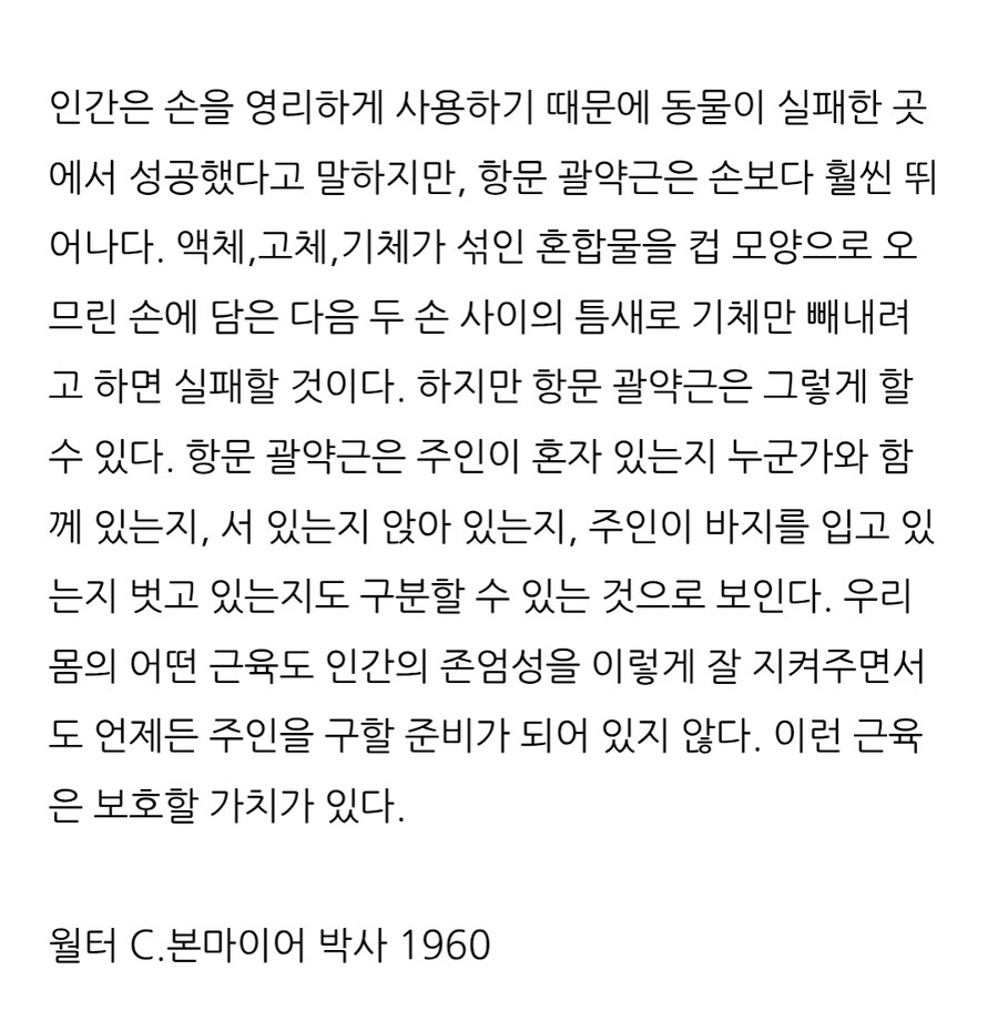 인간의 항문괄약근은 손보다 뛰어나다.text_1.jpg