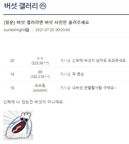 버섯 갤러리엔 버섯 사진만..._1.jpg