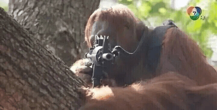 건담 베이스 직원의 일상.jpgif_1.jpg