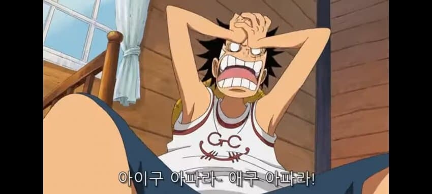 원피스에서 계속 강조되는 것_2.jpg