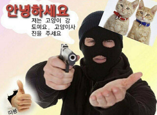 안녕하세요 전 고양이 강도에요.jpg_1.jpg