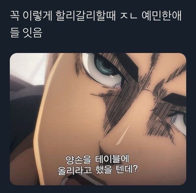 할리갈때 할 때 주의점_1.jpg