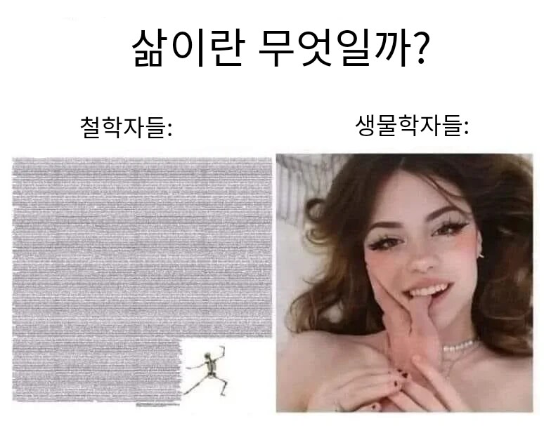 삶이란 무엇일까? 에 대한 답변들.jpg_1.png