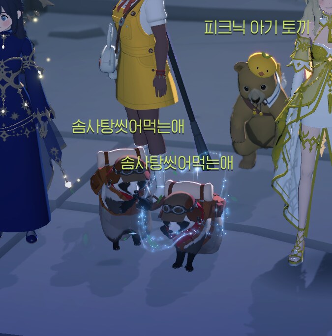 마비m)라쿤 펫 우연의 일치 대박사건_1.png