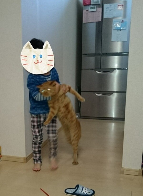 굿모닝 고양이짤_11.jpg