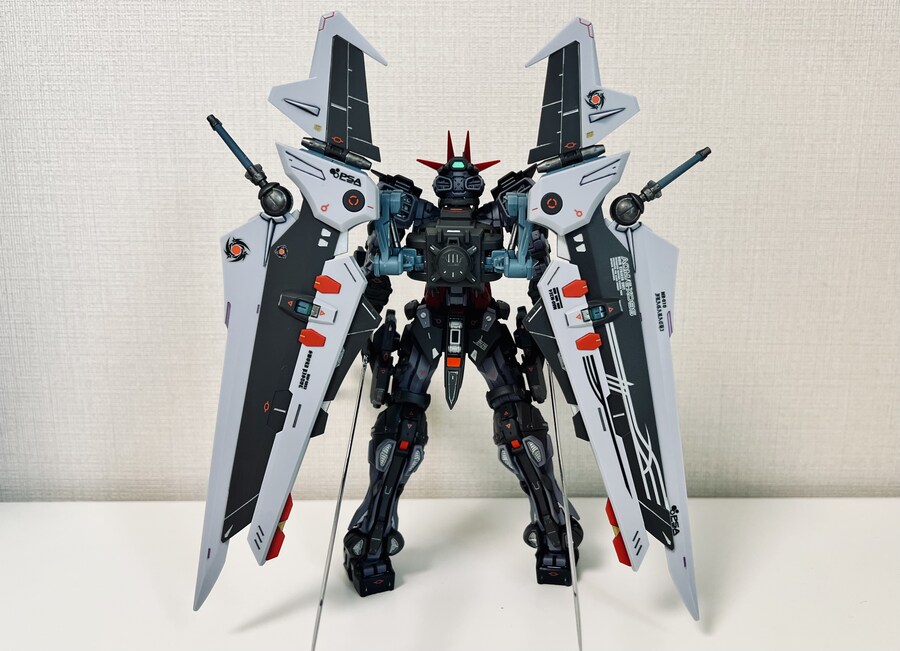 [MG] MBF-FOX 아스트레이 느와르_3.jpg