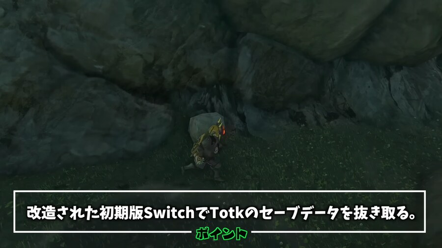 젤다)스위치 2판 왕눈 근황.jpg_12.png