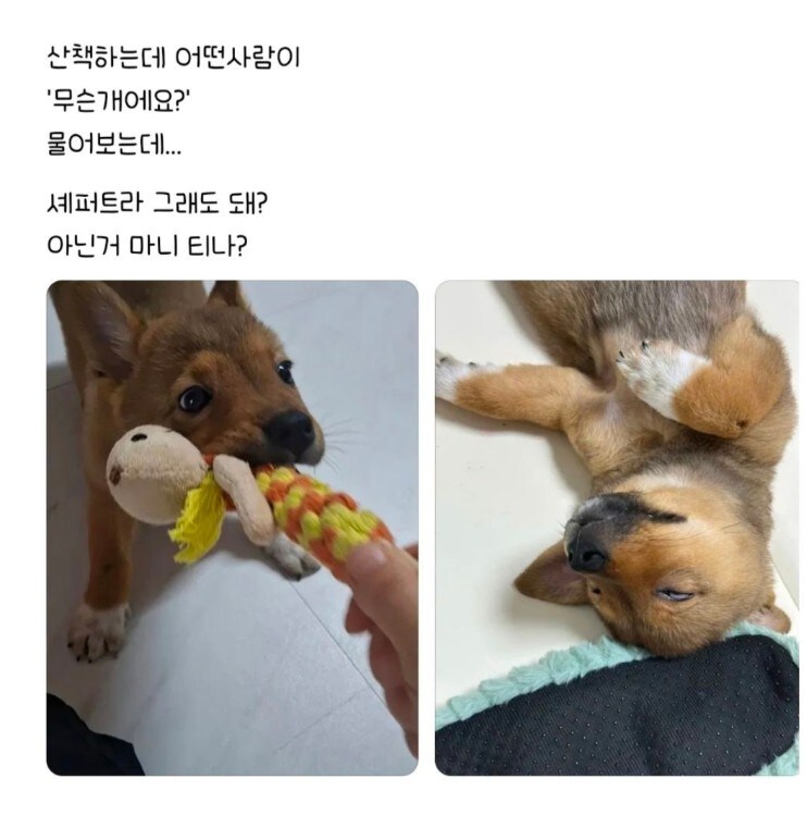 편견없는 대한민국_1.jpg